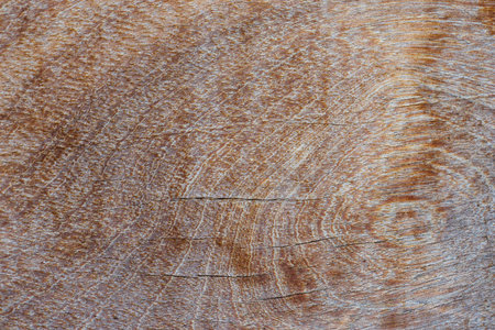 Wooden texture as background. Abstract texture
