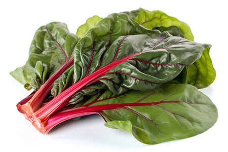 Fresh chard leaves isolated on white background. Healthy food concept.の素材
