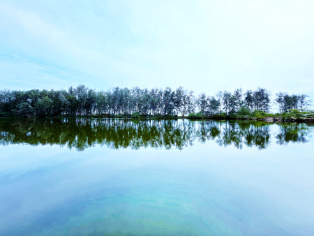 Landscape with lake and treesの写真素材