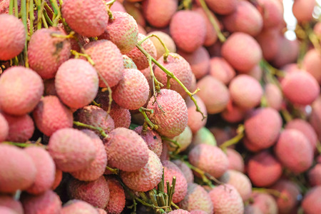 Thailand fruit fresh lycheesの写真素材