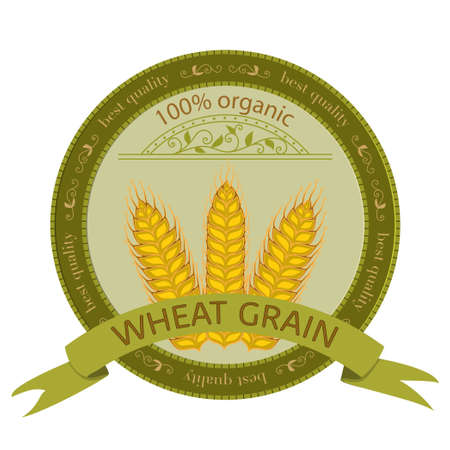 Wheat grain. Vector Illustration.のイラスト素材
