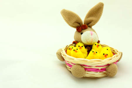 close-up of easter bunny basket with yellow chickenの写真素材