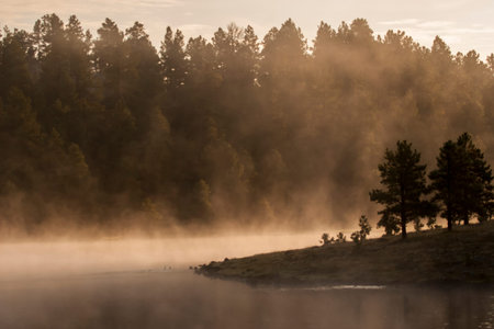 Early morning finds the fog providing a mystical view at Hawley Lake in Arizonaの写真素材