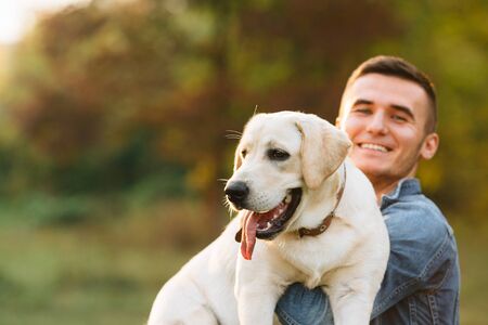 Smiling man with his dog Labrador in hands in park at sunsetの写真素材