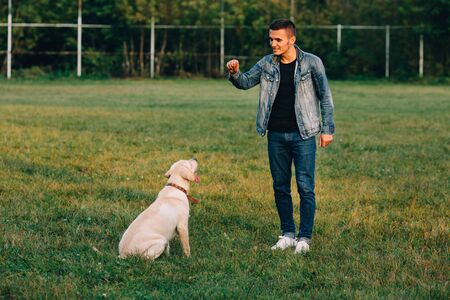 Man trains his dog Labrador in parkの写真素材