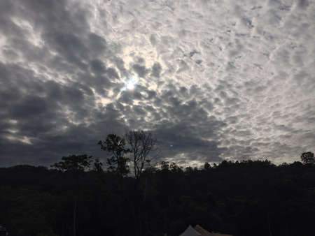 Peaceful momentの素材