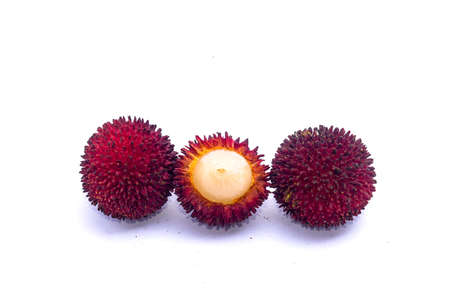 Pulasan fruits  Nephelium mutabile Blume  isolated on white background の写真素材