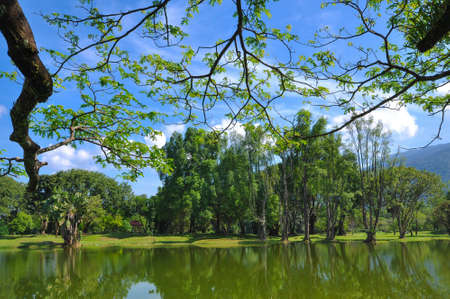 Panoramic view of public lake garden at Taiping, Perak, Malaysiaの写真素材