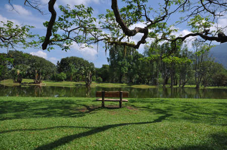 Panoramic view of public lake garden at Taiping, Perak, Malaysiaの写真素材