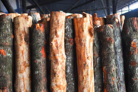 Pile of Woodの写真素材