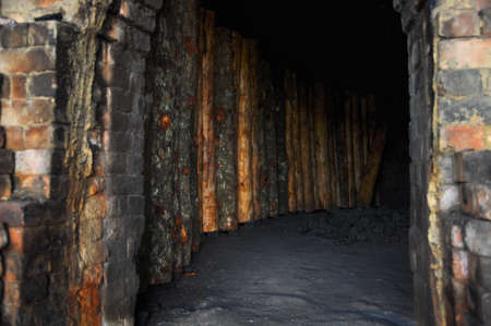 Pile of Wood Malaysian biggest charcoal factoryの写真素材