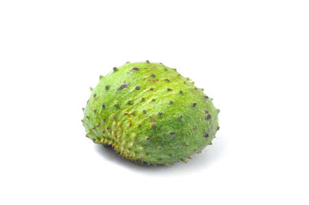 Soursop Prickly Custard Apple. Annona muricata L. Treatment of cancer.の写真素材