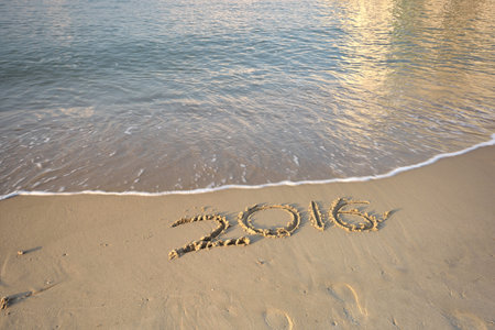 Year 2016 on the beach
