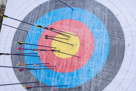 Archery target with arrows on it. Success concept