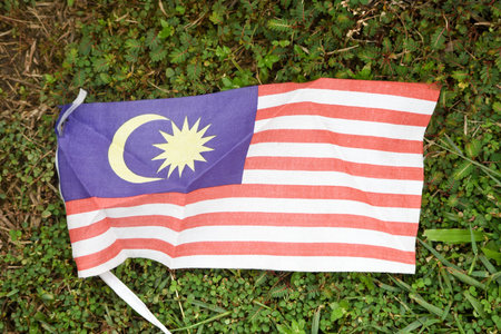 Malaysian Flag (Jalur Gemilang)