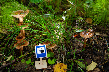 Toy road sign Gas Station in green grass against the background of chanterelle mushrooms on an...