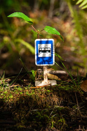 miniature bus stop road sign into the forestの写真素材
