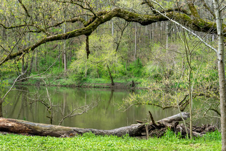 Framing out a great river landscapeの写真素材