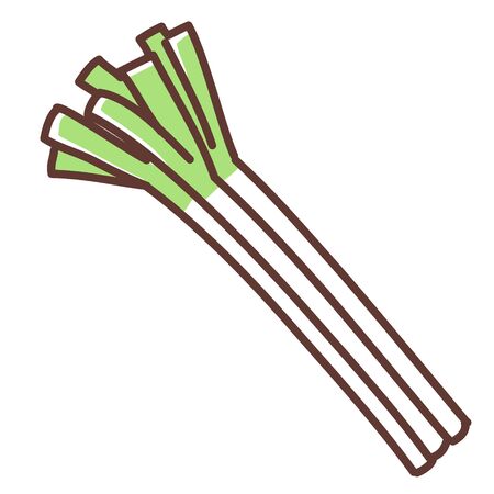 Green onionのイラスト素材