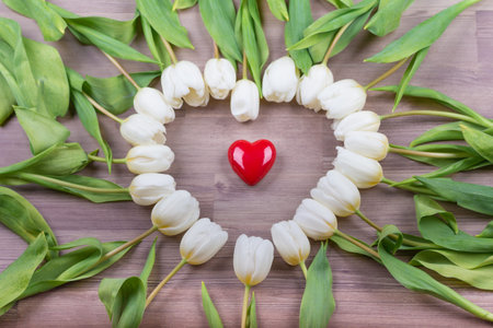 Love red heart of tulips lovely surprise present for girlfriend. Beautiful heart shape on wood in decoration one at one tulip. Wonderful gift for e.g. valentine's day, mother's day, wedding, birthday or anniversary.の写真素材