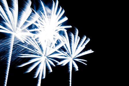 Luxury fireworks event sky show with blue palm trees stars.
