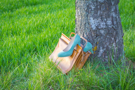 Business shoes pumps wayside in nature arouse wanderlust in bag. Symbol for passion adventures spontaneity and desire for silence and resting. Sabbatical break from daily stress brings fresh restart.の写真素材