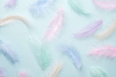 Feathers multicolored background in pastel colors. Feathers pattern. Natural pastel feathers in muted colors. Beautiful feathers surface.の写真素材