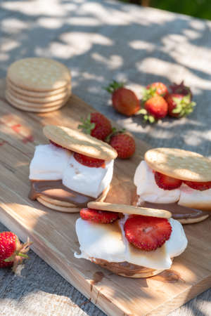dessert smores with marshmallow and strawberryの写真素材