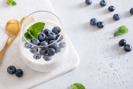 Chia pudding with coconut milk and blueberryの写真素材