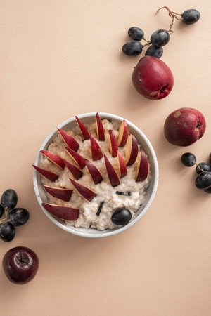 hedgehog porridge oatmeal breakfastの写真素材