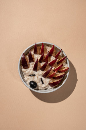 hedgehog porridge oatmeal breakfast