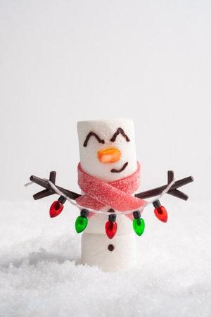 Happy funny marshmallow snowmanの写真素材