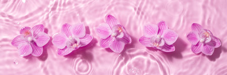 Orchid flowers are floating, stains from a drop on the waterの写真素材