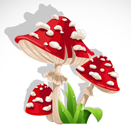 Red fresh Mushroom amanita in grass.のイラスト素材