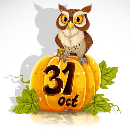 Wise owl sit on a pumpkin - Halloween Party October 31のイラスト素材