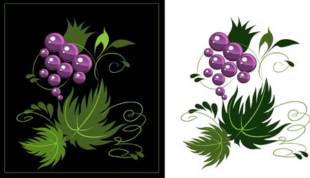 decorative stylized grapesのイラスト素材