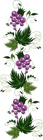 decorative stylized grapes isolated on whiteのイラスト素材