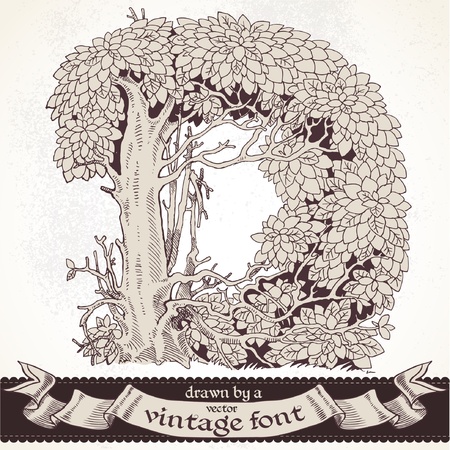 magic forest hand drawn by a vintage font - Dのイラスト素材