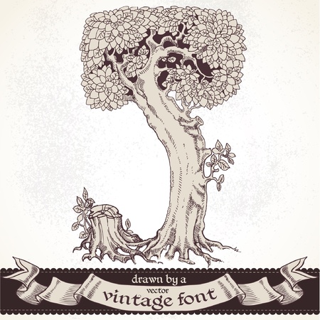 magic forest hand drawn by a vintage font - Jのイラスト素材