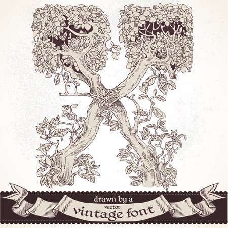 magic forest hand drawn by a vintage font - Xのイラスト素材