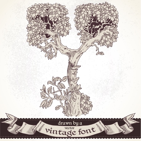 magic forest hand drawn by a vintage font - Yのイラスト素材