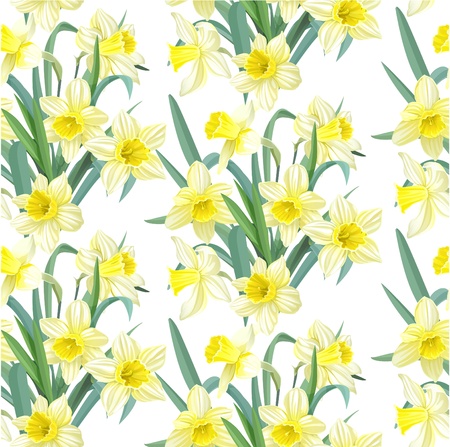Seamless pattern lush yellow daffodils on white backgroundのイラスト素材