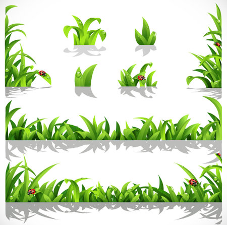 Green lush grass with dew and ladybirds - a set of elements for designのイラスト素材