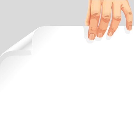 Male hand holding a blank white page curlのイラスト素材