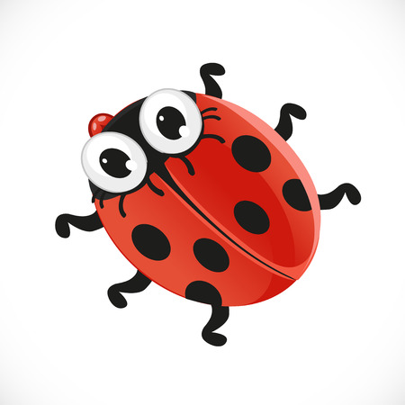 Cute baby ladybug isolated on white backgroundのイラスト素材