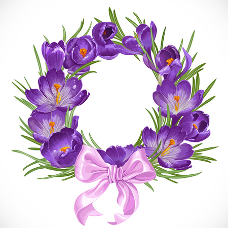 Wreath of purple spring crocus with beautiful pink ribbon bowのイラスト素材