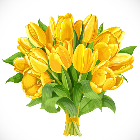 Bouquet of yellow tulips isolated on a white backgroundのイラスト素材