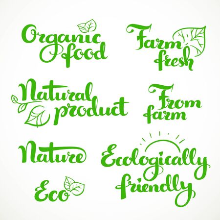 Fresh food and ecologically friendly green calligraphic inscription on a white backgroundのイラスト素材