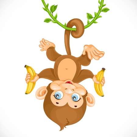 Cute baby monkey with banana hanging on the liana isolated on a white backgroundのイラスト素材