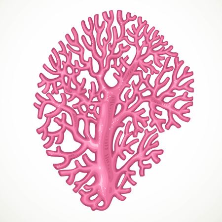 Big pink corals sea life object isolated on white backgroundのイラスト素材